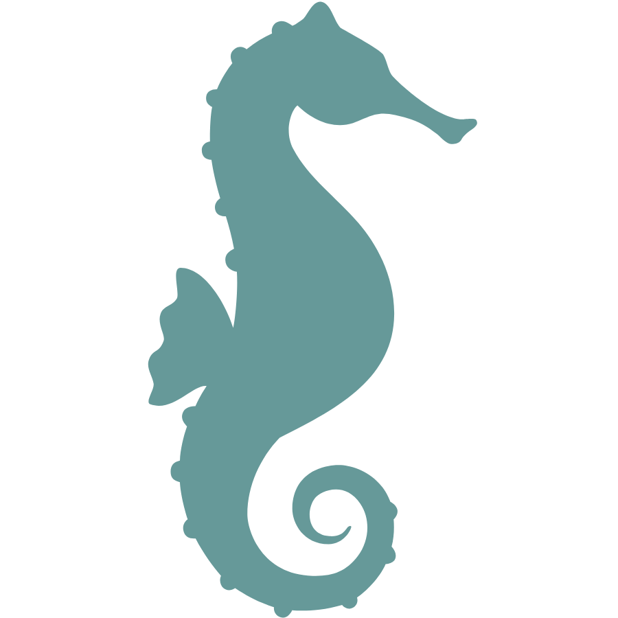 Seahorse_teal