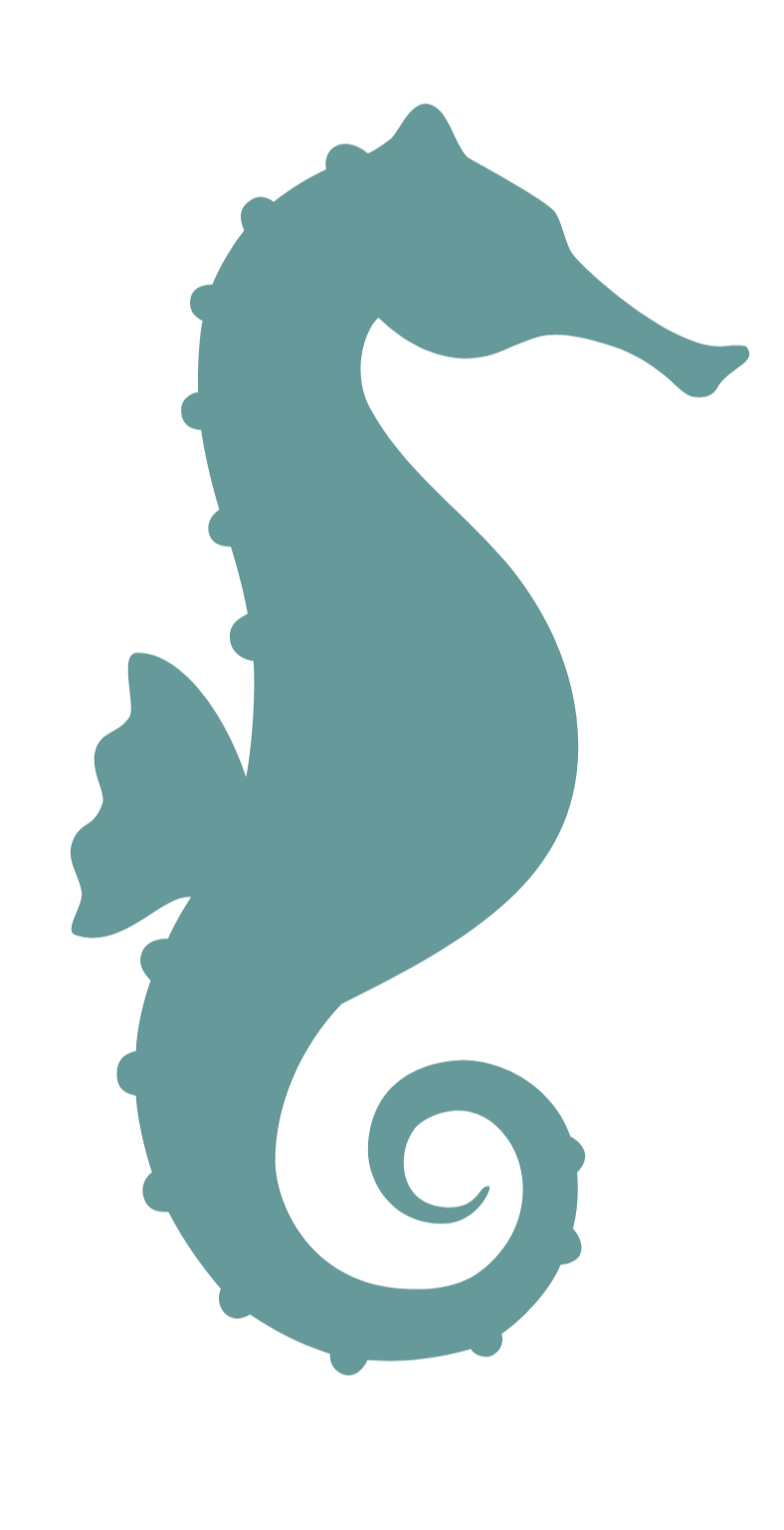 seahorse-1